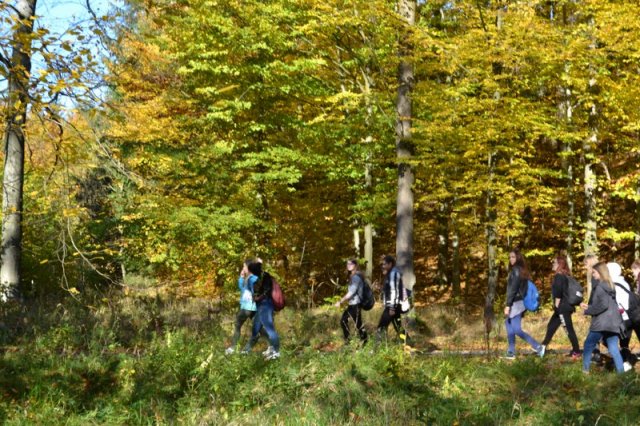 Las bliżej nas