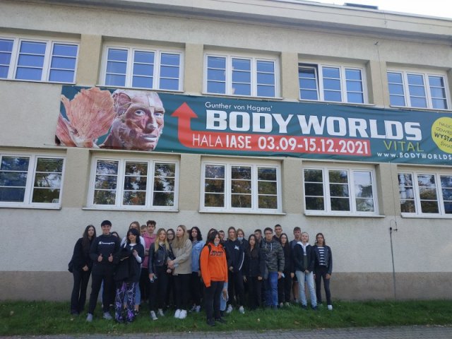 Wystawa BODY WORLDS – VITAL