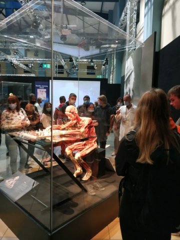 Wystawa BODY WORLDS – VITAL